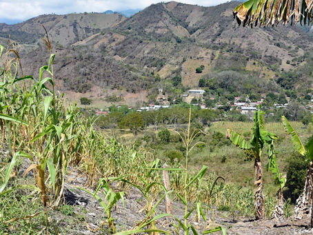 Poverty Migration is Increasingly Driven by Climate Change