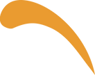 Swash Orange 2_edited.png