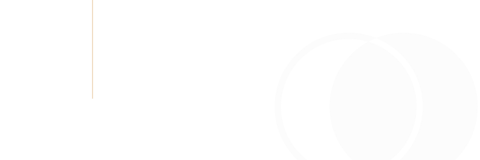 verticalline-background-02.png