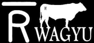 bar r logo brand white  with black bcgnd square for icons.webp