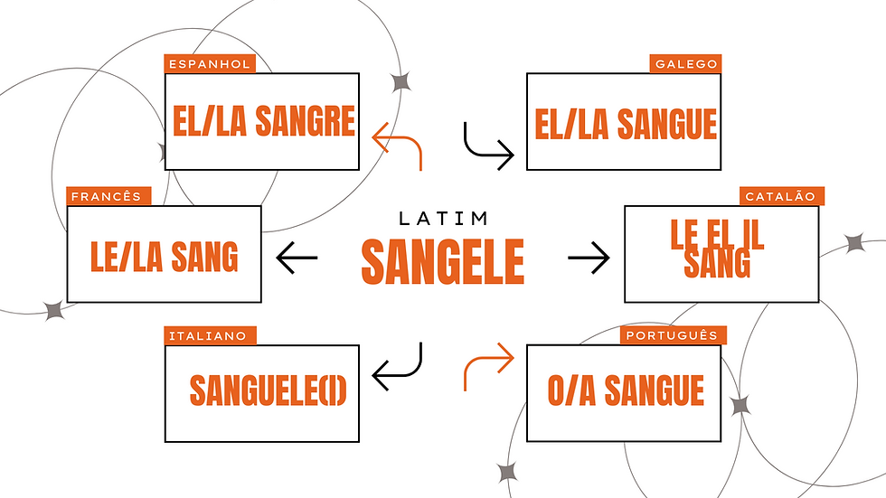 Você sabia que a palavra sangue é neutra? Entenda história e origem das palavras.