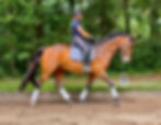 Fernhill in Motion