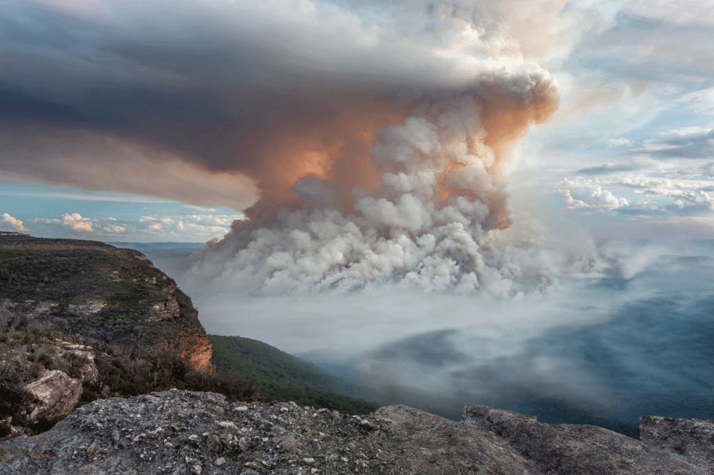 Bush Fire - Disaster Recovery - DRFA - Local Government