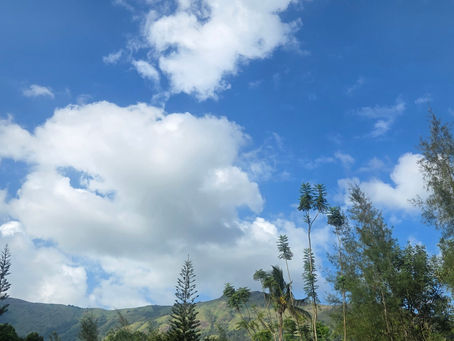 Auf den Spuren eines Kshatriya 7 – Eine Reise in die Vergangenheit - in ein früheres Leben - Heilige Berge