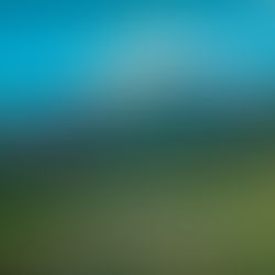 Auf den Spuren eines Kshatriya 9 – Eine Reise in die Vergangenheit - in ein früheres Leben -  Thrunelli nach Kodungallur