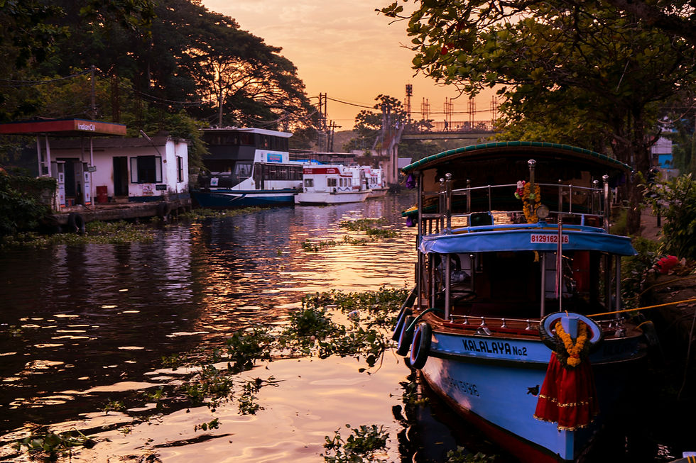 ashutosh-diwan-sXioWOtWMKs-unsplash - Kopie - Kopie.jpg
