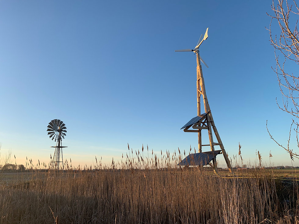 Dali PT Vellinge .jpeg