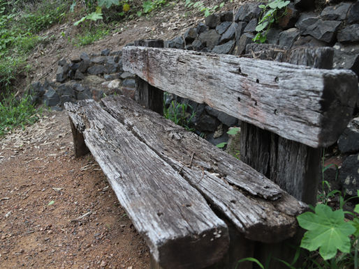 The Quiet Challenge of Waiting