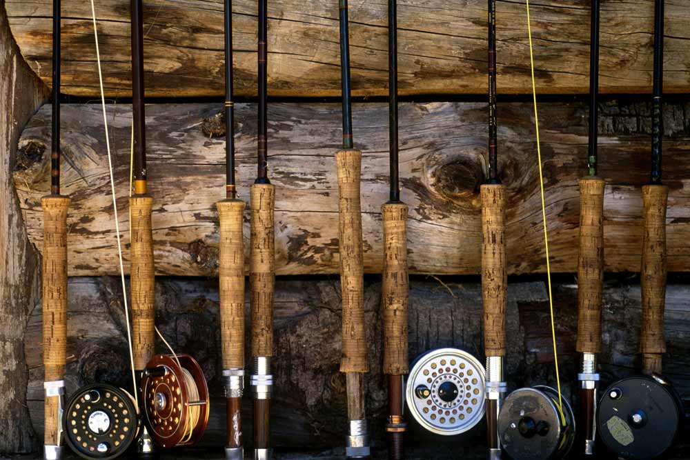 Hunting and fishing licenses