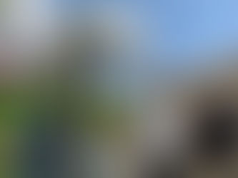 A Perfect Day to visit SWIMS