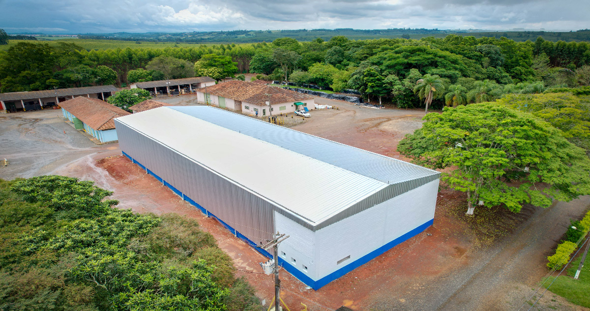 suzano papel e celulose