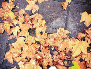 Caminhos de Pedra : Bento Gonçalves