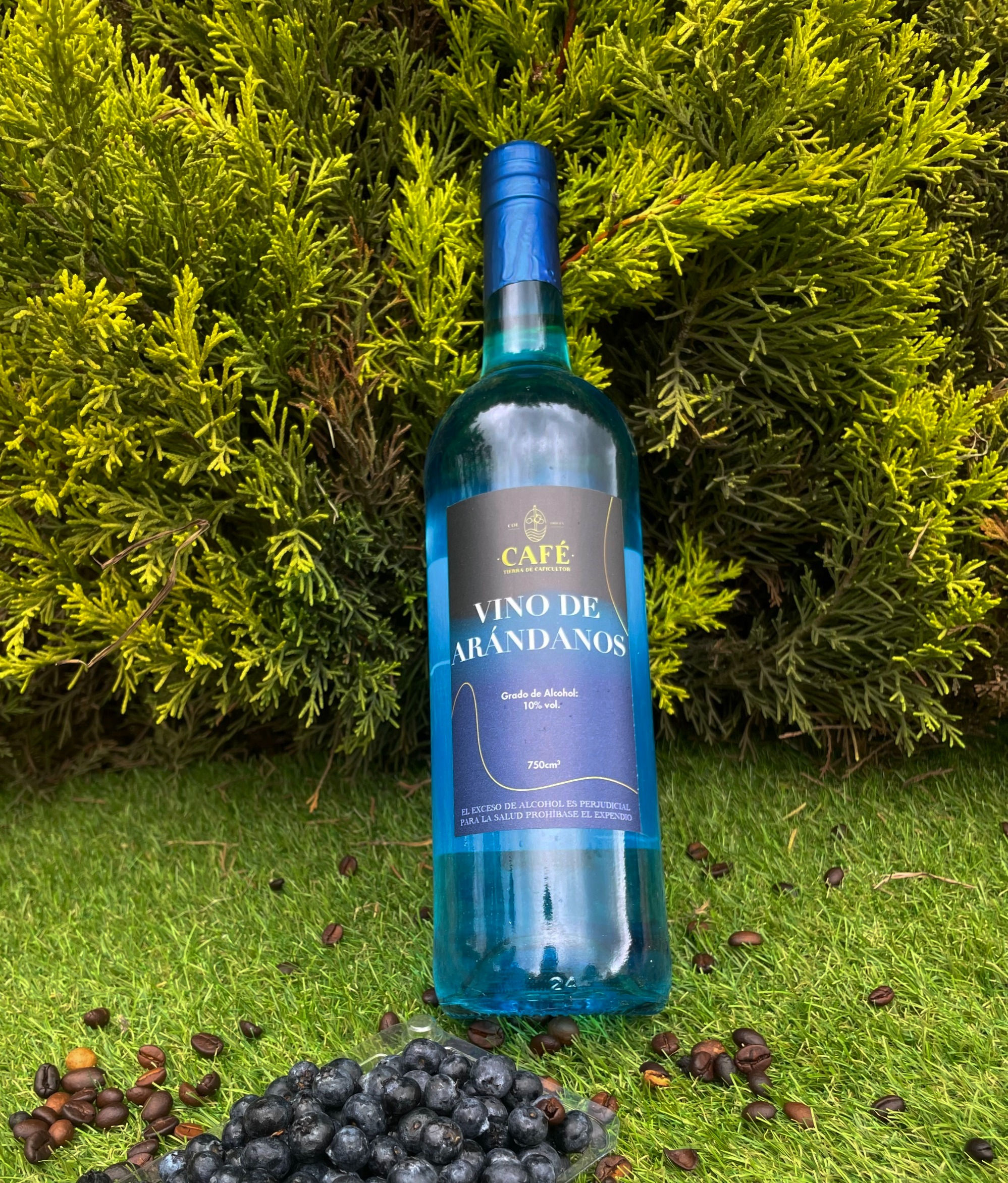 Vino de Arandanos