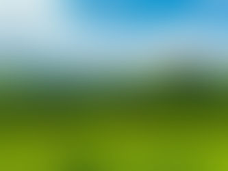 Explore the best places to visit, stay, and eat in Wayanad. A complete 2025 travel guide featuring attractions, climate tips, and why Regal Retreat is the top stay for families and groups.