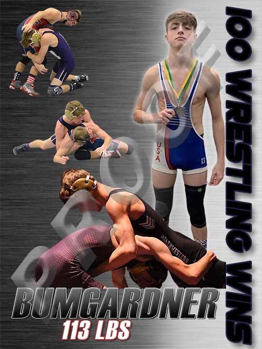 Thumbnail: 100 WINS/PINS Custom Designed & Printed Vinyl Banner - Seniors Sports