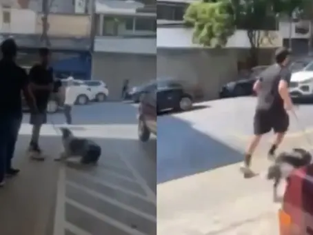 “LADRÃO DE CACHORRO”: vídeo mostra homem levando filhote e provocando tumulto em centro de adoção