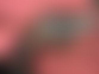 CRIME EM SUMÉ: suspeito de duplo assassinato é preso após investigação