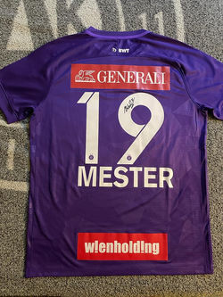 Trikot Mester hinten