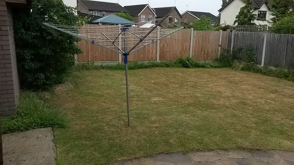 lawn before