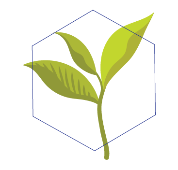 Tea leaf