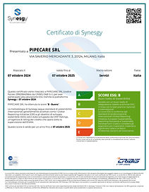 SynesgyCertificate_PIPECARE SRL_07_10_2024.jpg