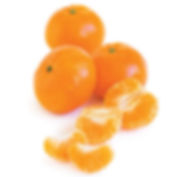 algarve clementine