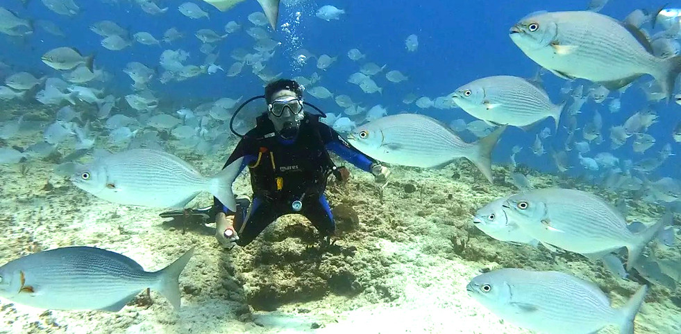 IMG_20220410_200358_800_edited_edited_ed