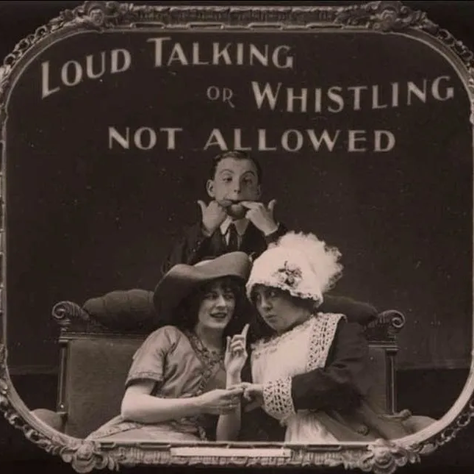 Theater Etiquette isn't a Suggestion, Don't Be the Seed that Kills the Garden.