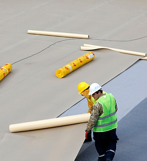 _11A1442_edited (1).jpg