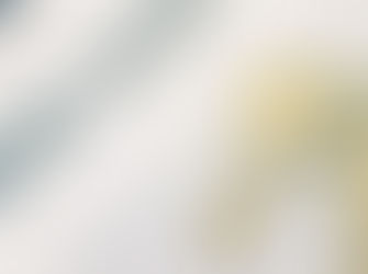 Lease Termination Clauses