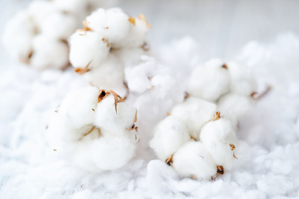 A pile of cotton on a white background