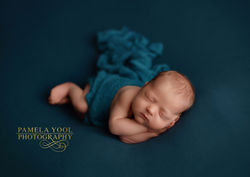 Best Baby Photo Studio Toronto
