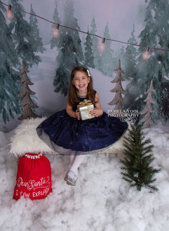 Studio Christmas Portraits for Children