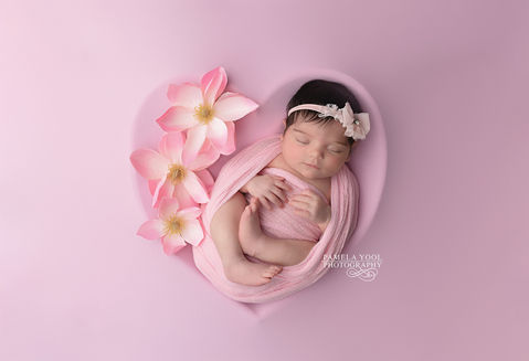 Pink Heart with flowers Newborn Baby Photography Photography