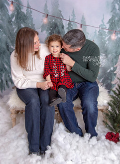 Family Christmas Portraits