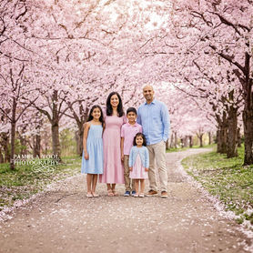 Toronto Family Cherry Blossom photoshoot