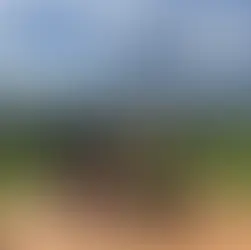 Time for Tea? A little extra treat for your visit to Yorkshire Lavender 