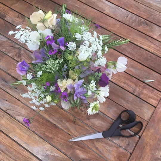 Sow and Grow Your Own Cut Flower Garden