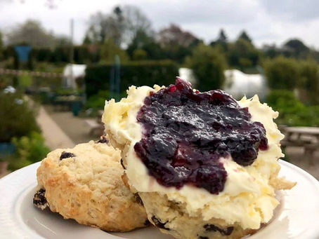 Cosy Autumn baking with Lavender