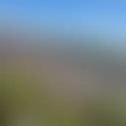 Lavender on the Hill: Reflections from writer and poet Andrew Jackson