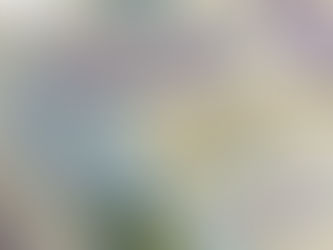 Save the Date. The 2026 Season is Coming ...