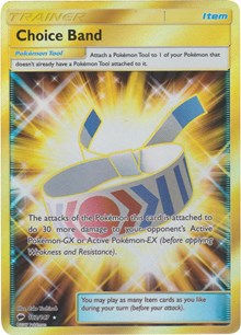 Trainer Choice Band secret