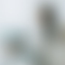 Building a Studio From the Ground Up