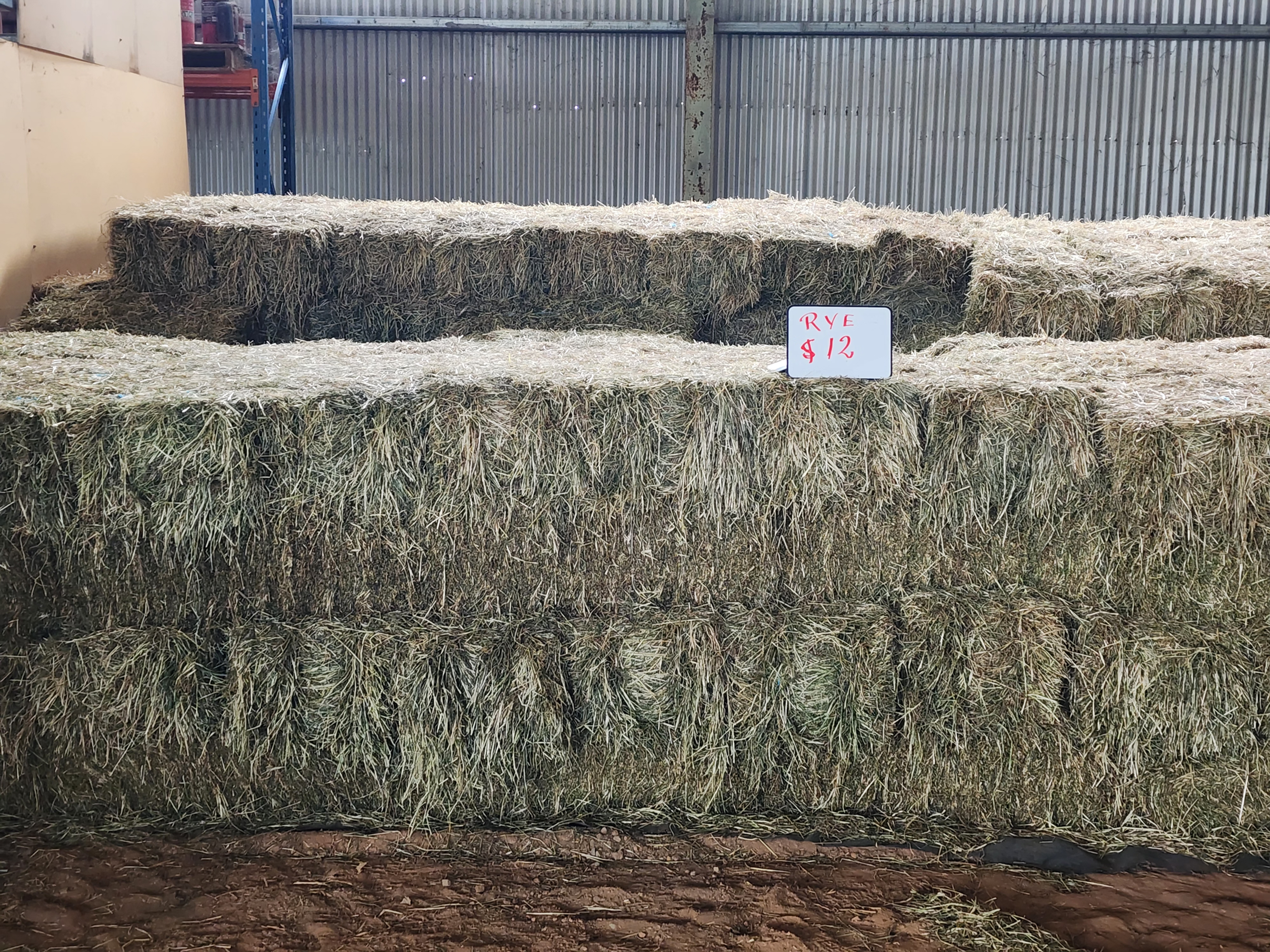 Rye Grass Small Squares