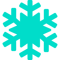 fiocco di neve.png