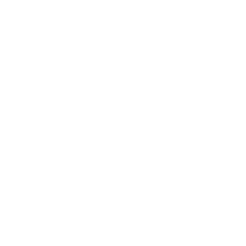 בלי רקע PNG לוגו lior adar white.png