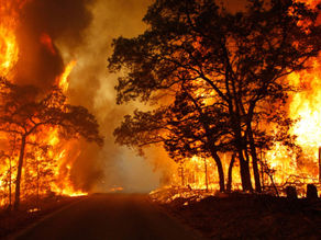 ONU menciona “alerta vermelho” e diz que mudanças no clima são irreversíveis