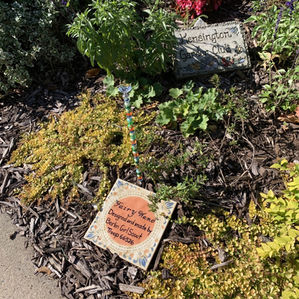 Garden at Kensington Post Office, Fall 2021