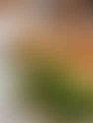 Sheyi Lisk-Carew engaged in meaningful discussions with the Master Fueller during lunch, exploring opportunities for collaboration and innovation.