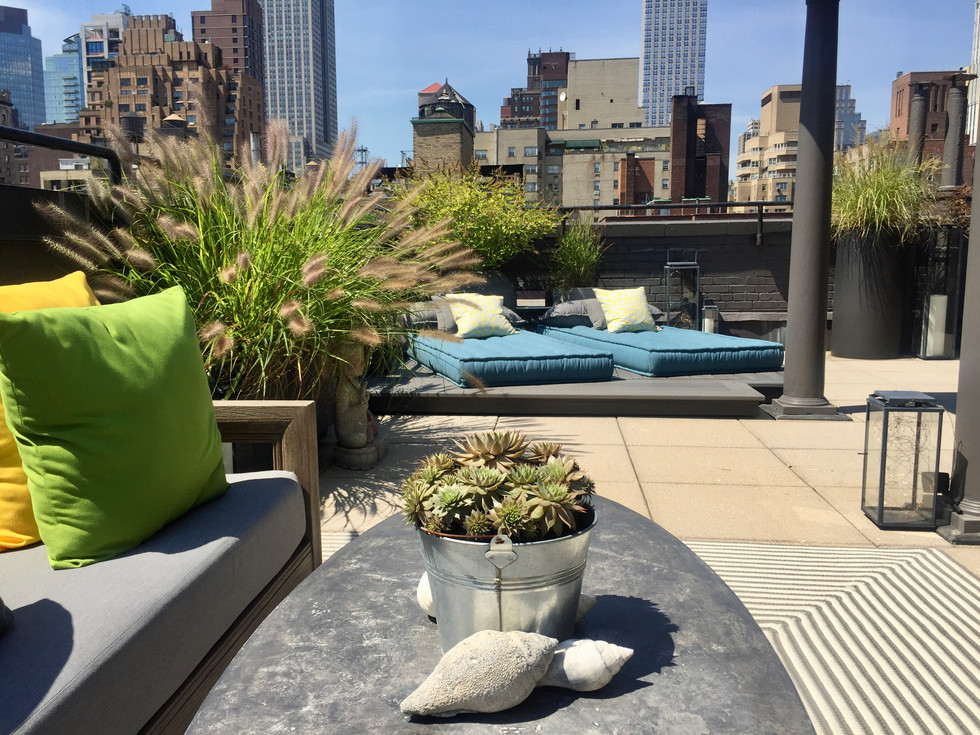 Murray Hill Terrace